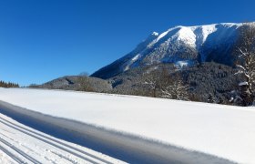 Mandlboden-Loipe, © Gerhard Pechhacker Mandlboden-Loipe, © Gerhard Pechhacker