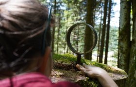 Exploring the mysteries of the forest, © zunder zwo Exploring the mysteries of the forest, © zunder zwo