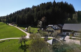 Hausansicht im Sommer, © grasberger Ländliche Szene mit einem gelben Haus und Scheunen, umgeben von grünen Wiesen und Wäldern.