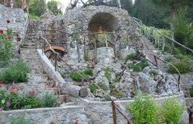 Leuchtwurzel, © Herbert Adam Leuchtwurzel, © Herbert Adam