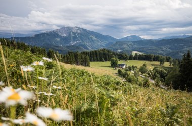Ötscherblick Hochbärneck, © Fred Lindmoser Ötscherblick Hochbärneck, © Fred Lindmoser