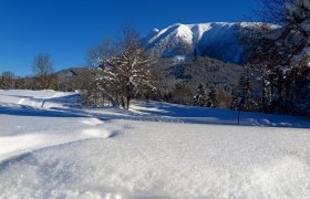 Mandlboden trail, © Gerhard Pechhacker Mandlboden trail, © Gerhard Pechhacker