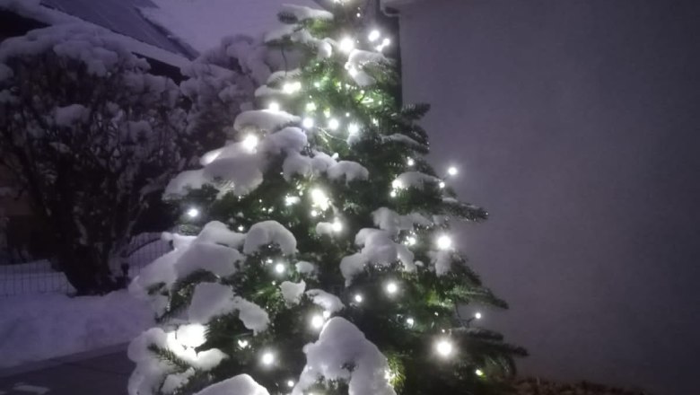 Christmas spirit at the Steiners, © Gertrude Steiner Christmas spirit at the Steiners, © Gertrude Steiner