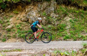 MTB_man_alone, © (C) Wolfgang Wutzl MTB_man_alone, © (C) Wolfgang Wutzl