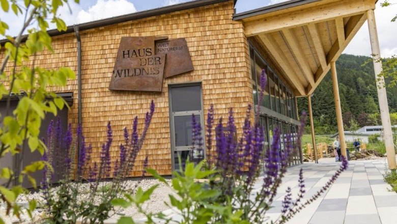 Tourismusinfo im Haus der Wildnis, © Haus der Wildnis Tourismusinfo im Haus der Wildnis, © Haus der Wildnis