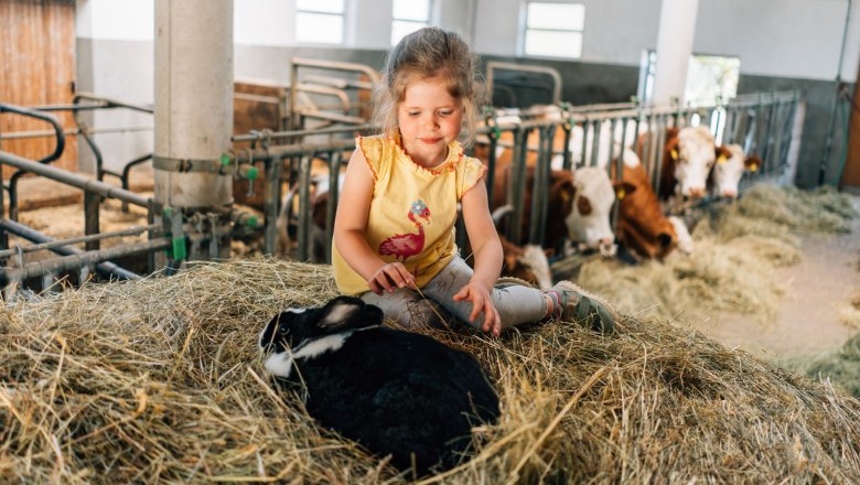 Ferienhaus Lenzau, © Familie Heigl Ferienhaus Lenzau, © Familie Heigl