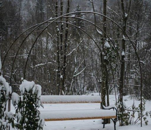 Kienberg forest, © Forst Kienberg Kienberg forest, © Forst Kienberg