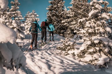 Skitouring in the Ybbstaler Alps, © Gerald Demolsky Skitouring in the Ybbstaler Alps, © Gerald Demolsky
