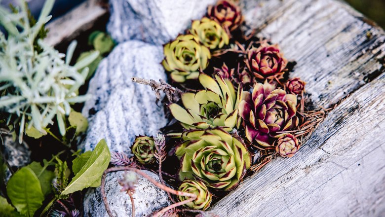 Nestelberg 17, © Sabine Wieser Nestelberg 17, © Sabine Wieser