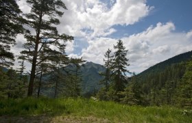 View to the Voralpe, © Mostviertel View to the Voralpe, © Mostviertel