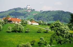 Blick in Richtung Basilika Sonntagberg, © weinfranz.at Blick in Richtung Basilika Sonntagberg, © weinfranz.at