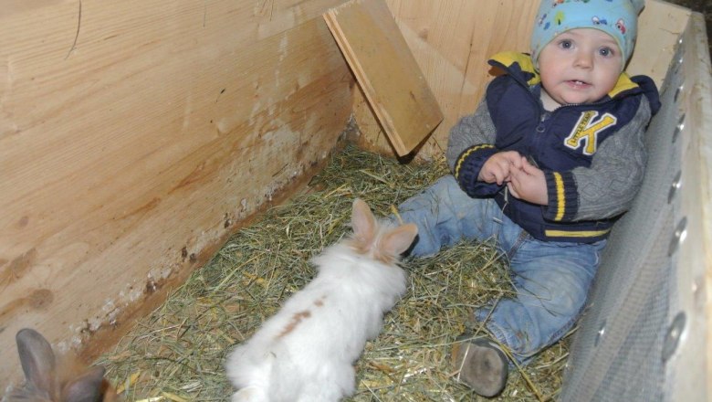 Even the rabbits are curious about the youngest visitors, © Carina Korntheuer Even the rabbits are curious about the youngest visitors, © Carina Korntheuer