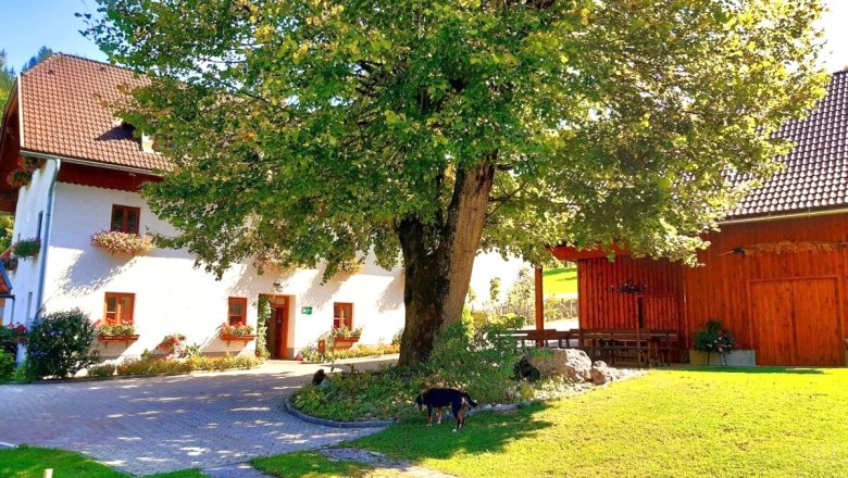 Vacation on the farm-Oberrehau, © Andrea Kronsteiner Vacation on the farm-Oberrehau, © Andrea Kronsteiner