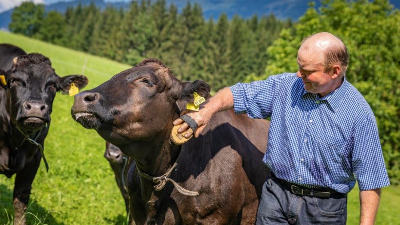 Organic Wagyuhof Reingrub, © Theo Kust Organic Wagyuhof Reingrub, © Theo Kust