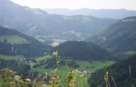 Zwickelreit - Gänsau, © Mostviertel Zwickelreit - Gänsau, © Mostviertel