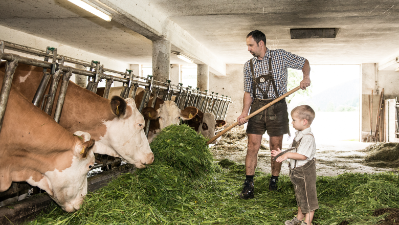 Lassingbauer, © Wolfgang Wutzl Lassingbauer, © Wolfgang Wutzl