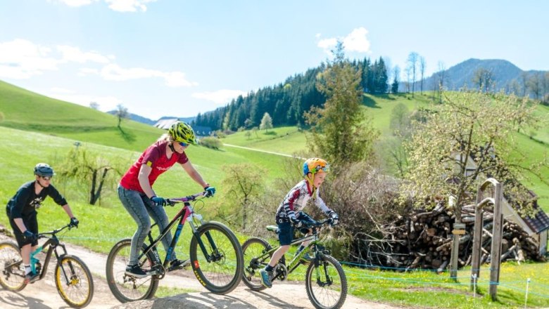 Königsberg Bike Park, © Wolfgang Wutzl Königsberg Bike Park, © Wolfgang Wutzl