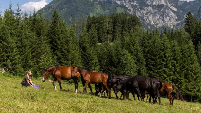 Biohof Herdengl, © Theo Kust Eine Frau sitzt auf einer Wiese vor einer Gruppe von Pferden, umgeben von Wald und Bergen im Hintergrund.