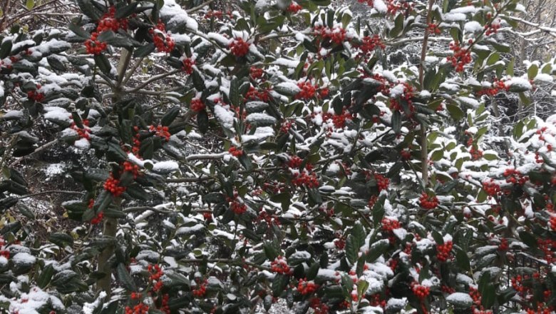 Privatzimmer Margit, © Margit Heller Privatzimmer Margit, © Margit Heller