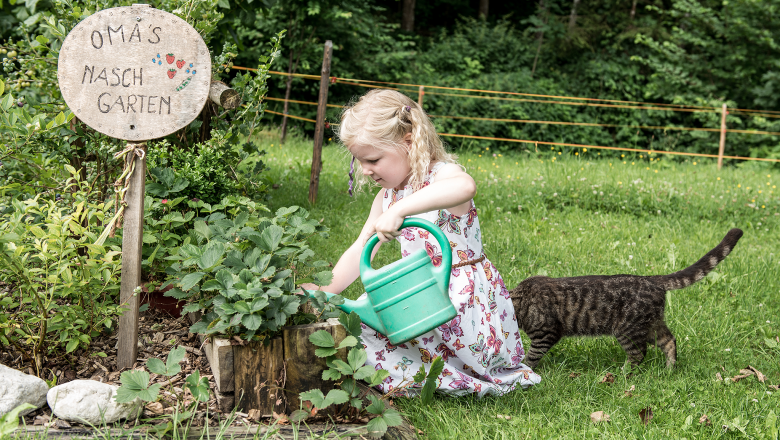 Ferienhaus Oberbach, © Wolfgang Wutzl Ferienhaus Oberbach, © Wolfgang Wutzl