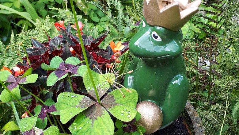 Vacation apartment Urmannsau, © Melitta Praus Vacation apartment Urmannsau, © Melitta Praus