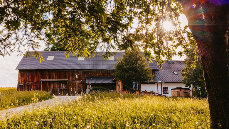 Nestelberg 17, © Sabine Wieser Nestelberg 17, © Sabine Wieser