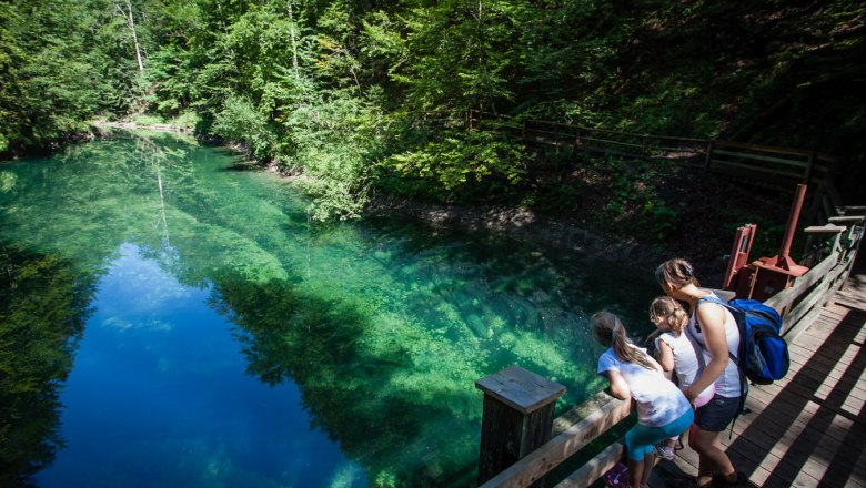 Erlebniswelt Mendlingtal, © Erlebniswelt Mendlingtal Eine Frau und zwei Kinder schauen von einem Holzsteg auf einen klaren, grünen Fluss in einem Wald.