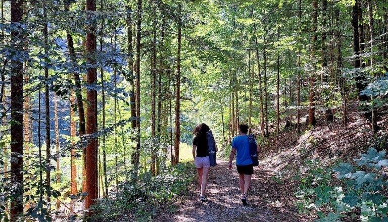 Forest bathing, © Karin Redlsteiner Forest bathing, © Karin Redlsteiner