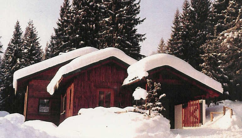 Waldhaus des Trialhof Schaureith im Winter, © Familie Enöckl Waldhaus des Trialhof Schaureith im Winter, © Familie Enöckl