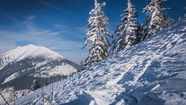 Winterstimmung, © Gerald Demolsky Winterstimmung, © Gerald Demolsky