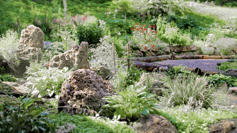 Hollenstein herb and adventure garden, © TVA Markus Frankhauser A lush garden with various plants and stones, surrounded by green foliage.