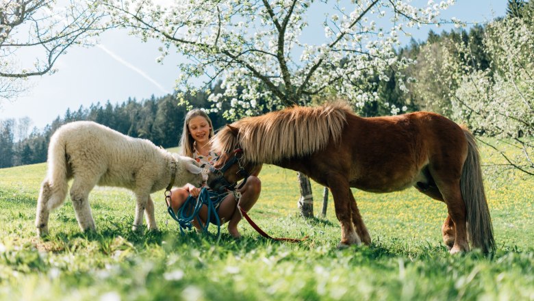 Vacation cottage Lenzau, &copy; Familie Heigl