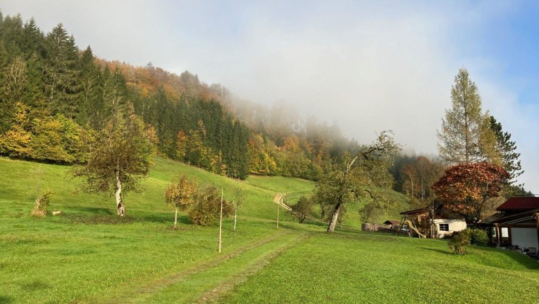 spacious-garden-in front-of-the-holiday-house, © Ferienhof Kirchau