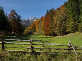 View to the forester's lodge, &copy; Mostviertel