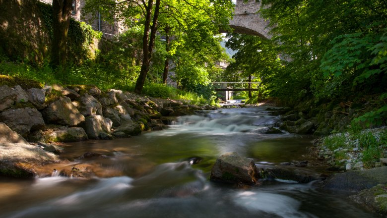 Wilder Schwarzbach, &copy; Josef Herfert
