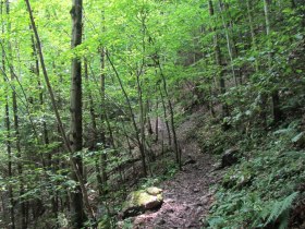 Up to the cave on forest paths, &copy; Mostviertel