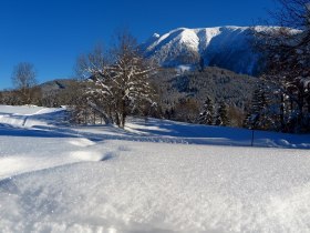 Mandlboden-Loipe, &copy; Gerhard Pechhacker