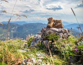 Hiking trail barrier, © weinfranz.at