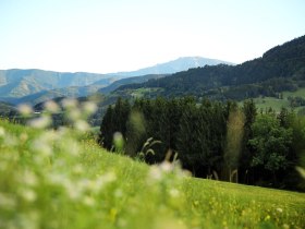 The rolling hills and lush forests make for unforgettable hikes. Here, where nature is in full bloom, visitors can enjoy the fresh mountain air and admire the breathtaking views of the surrounding mountains.