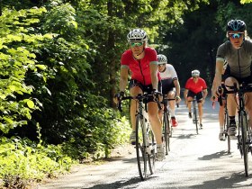 Road cycling in the Mostviertel, &copy; weinfranz.at