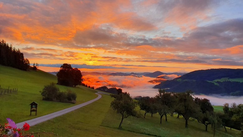 Morgenstimmung, © Melanie Schweighuber