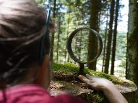 Lackenhof Story Trail - Tut Gut Route 1, &copy; (C) Zunder Zwo