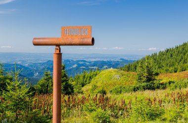 Almwandern, © Ludwig Fahrnberger