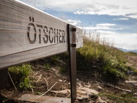 The rolling hills and majestic peaks are perfect for unforgettable hikes. Here, where nature is in full bloom, visitors can enjoy the fresh mountain air and experience the breathtaking views of the surrounding landscape.