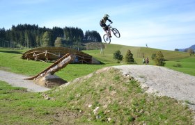 Bike park Königsberg, © eisenstrasse.info