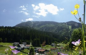 Mountain landscape with flower meadow and village in the foreground, forest and mountain in the background.