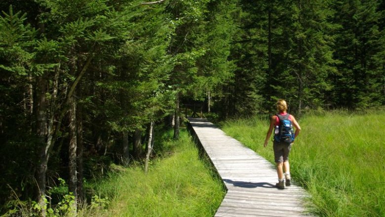 A person walks on a wooden footbridge through a green high moor, surrounded by trees.