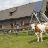 Ybbstalerhütte, © Theo Kust