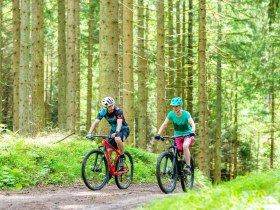 MTB_Wald, &copy; Wolfgang Wutzl