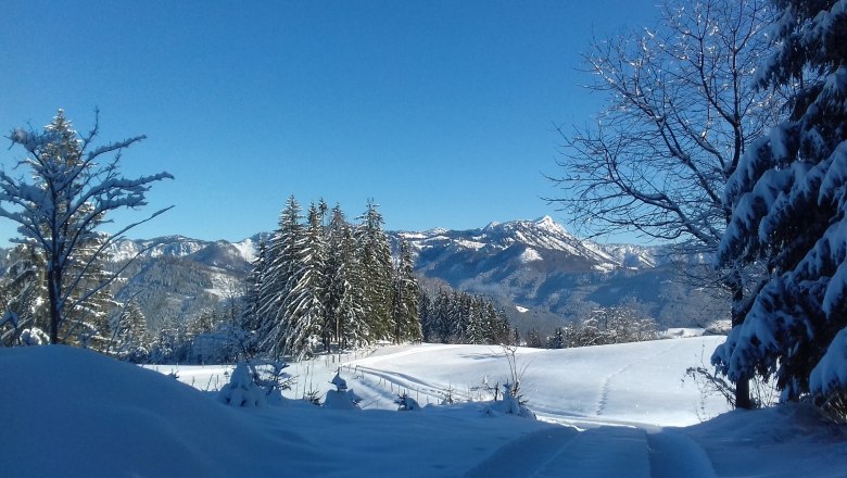 winter-duerrenstein, &copy; Zwickelreih